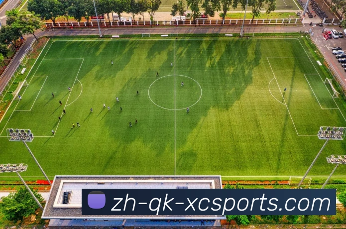 多媒体互动体验