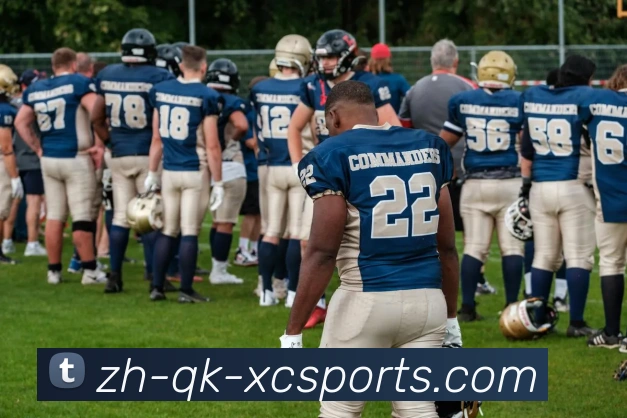 杏彩体育APP 体育赛事宣传图